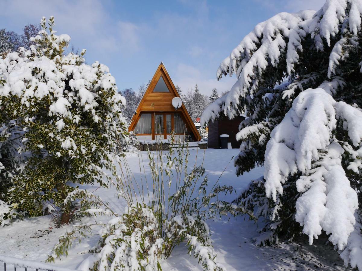 Ferienhaus Im Nordschwarzwald - Nurdachhaus In Waldrandlage Villa Schellbronn Buitenkant foto